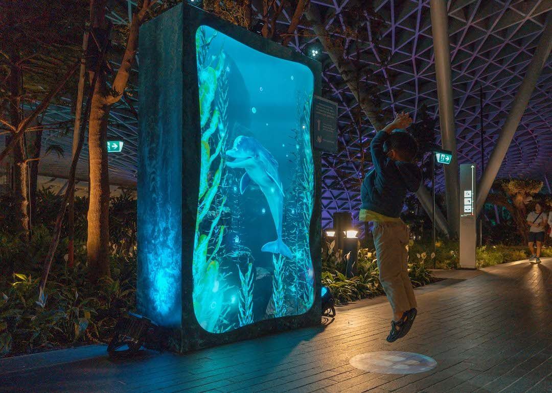 Jewel Canopy Park installation