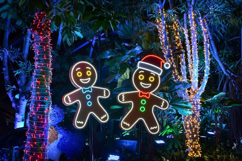 Jewel Christmas lights